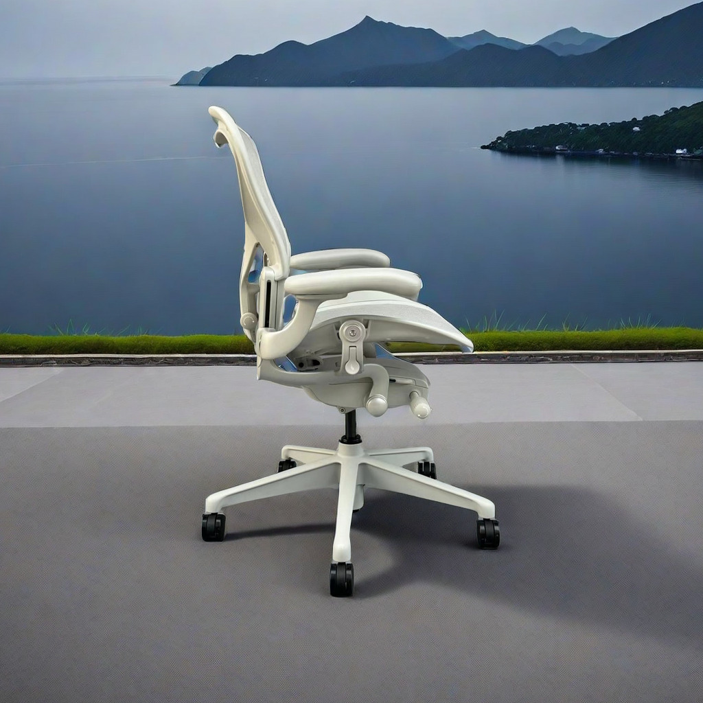 代表的な人間工学に基づいた椅子、座りがちな腰に負担をかけない - Home Office Representative のレビューと価格