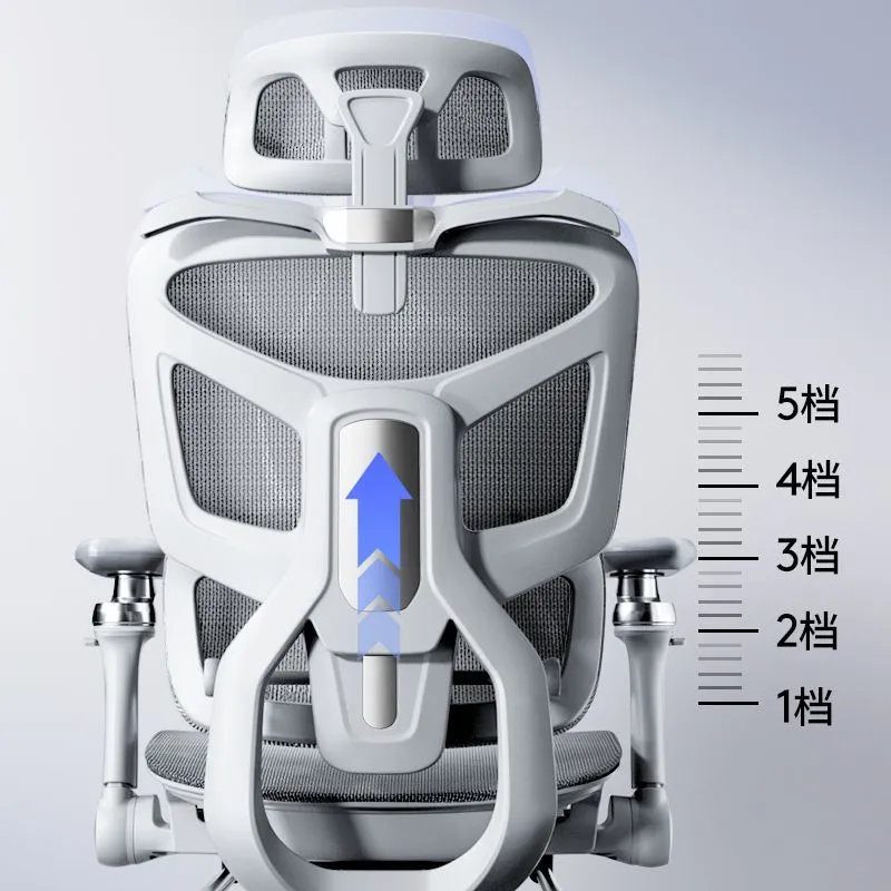 人間工学に基づいた腰椎サポート付きコンピューターチェア、ホー - Home Office Chair のレビューと価格